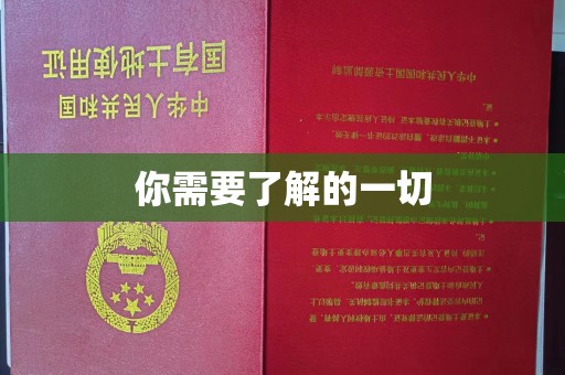内门你需要了解的一切